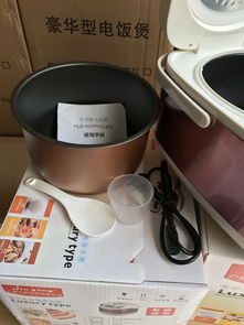 廠家直銷智能電飯煲 廚房小家電與軟件開(kāi)發(fā)的完美結(jié)合